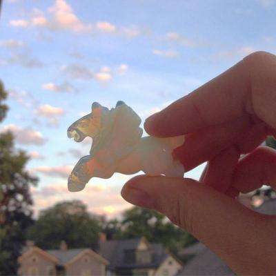 江南足球appapp下载