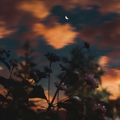 BET9官方APP下载正版app下载