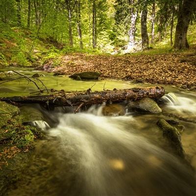 爱体育官方app手机app下载