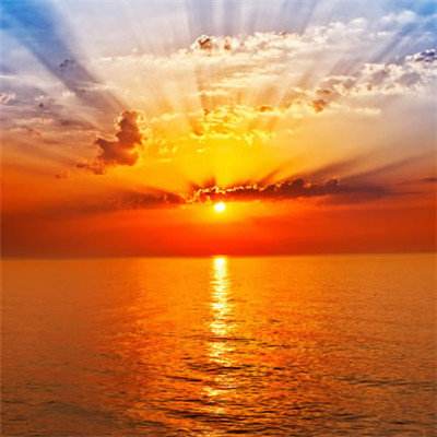 半岛手机网页版